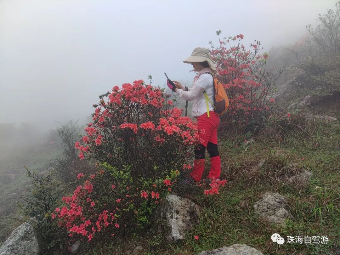 天露山_天露山_天露山