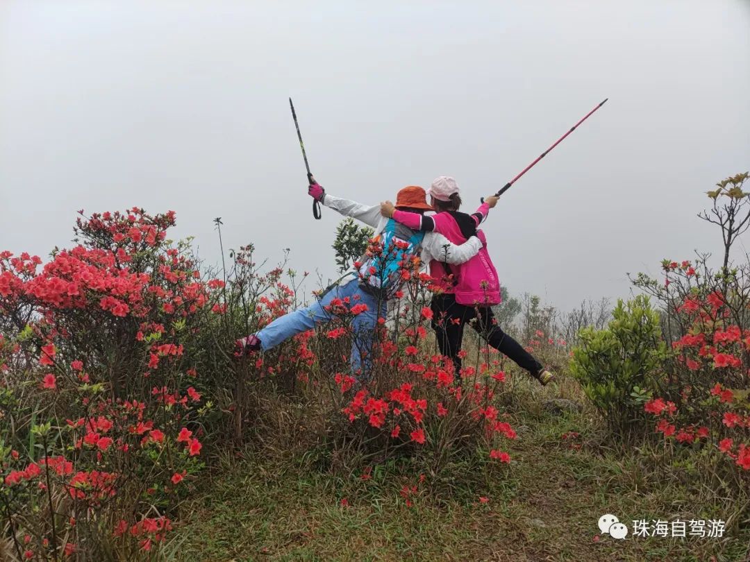 天露山_天露山_天露山