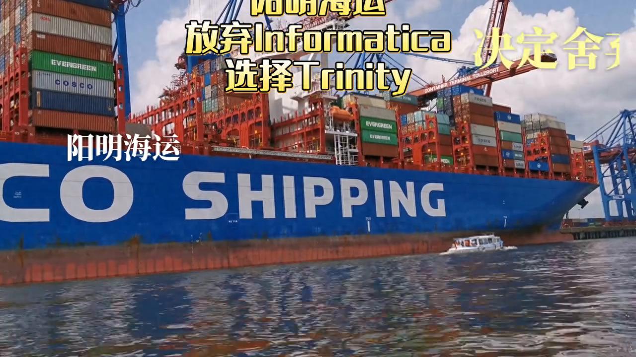 阳明海运logo_阳明海运总部_阳明海运