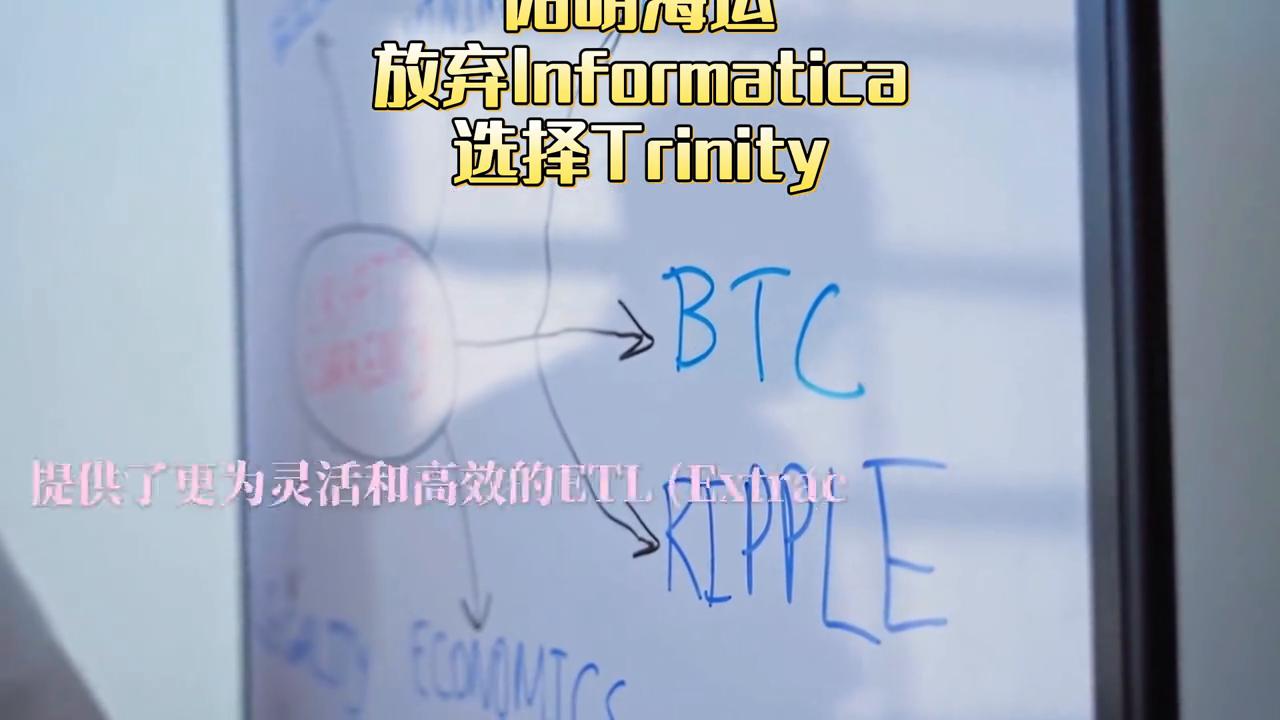阳明海运_阳明海运logo_阳明海运总部