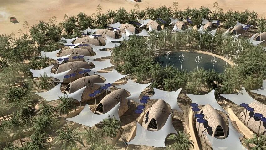 cabins_cabins什么意思_cabins怎么读