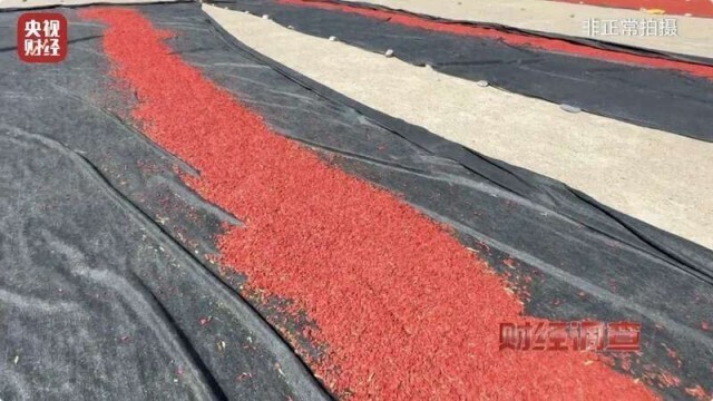 艾条熏房间多久熏一次_熏_熏的拼音