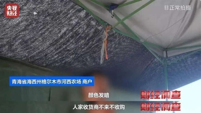 艾条熏房间多久熏一次_熏的拼音_熏
