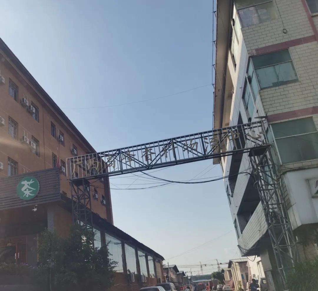 艾草熏肚脐怎么熏图片_熏_艾条熏房间多久熏一次