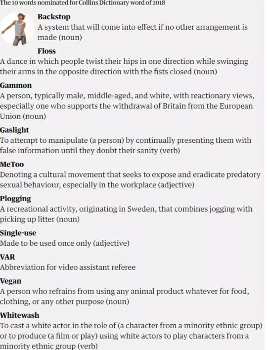 described翻译成中文_described_describe的用法