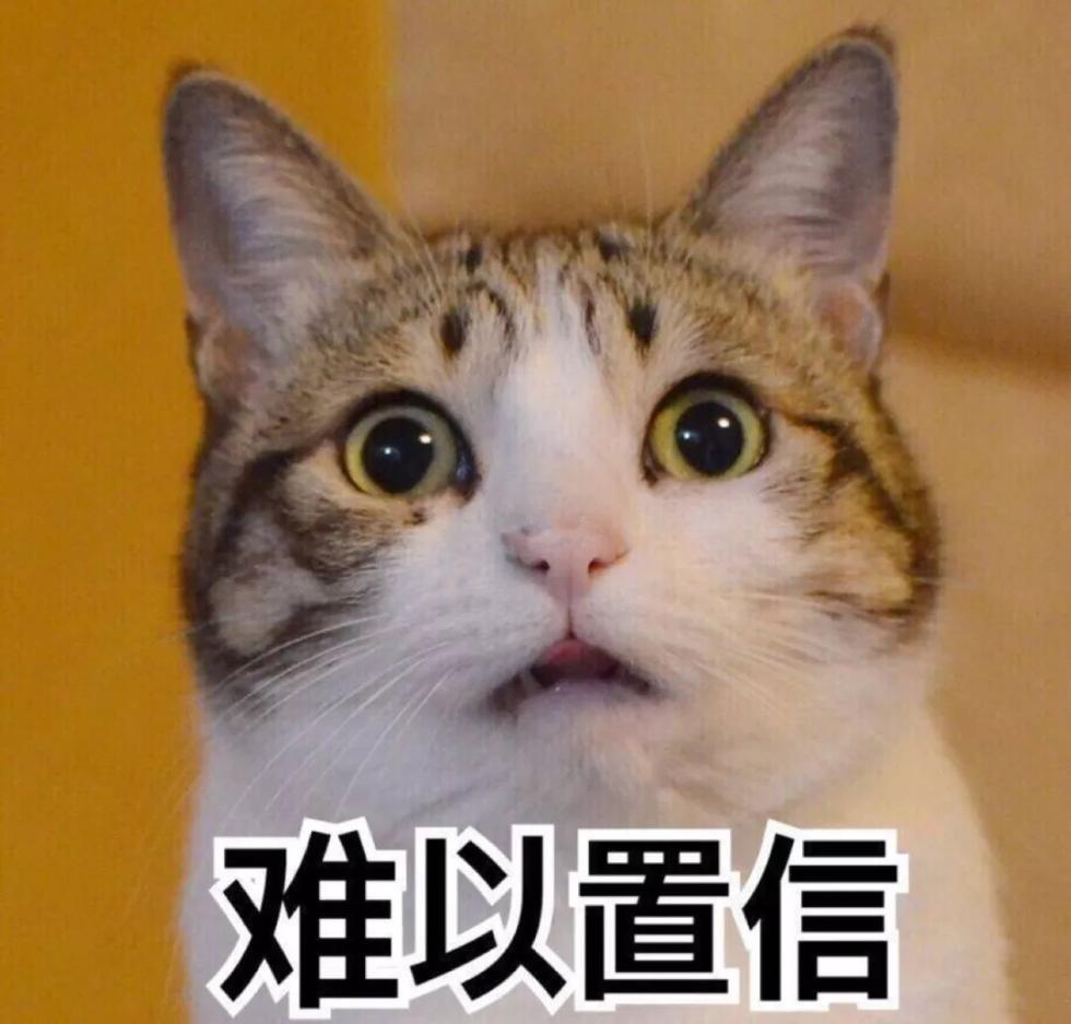 described是什么意思_described_describe搭配