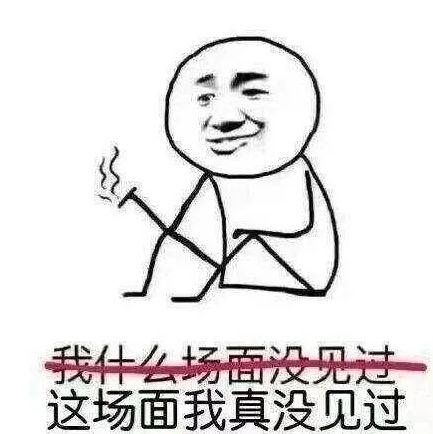 described_describe搭配_described是什么意思