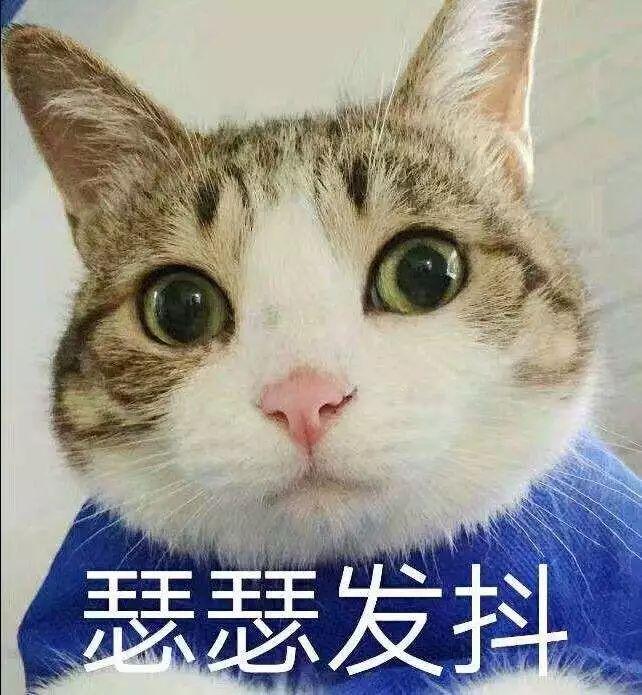 described_described是什么意思_describe搭配