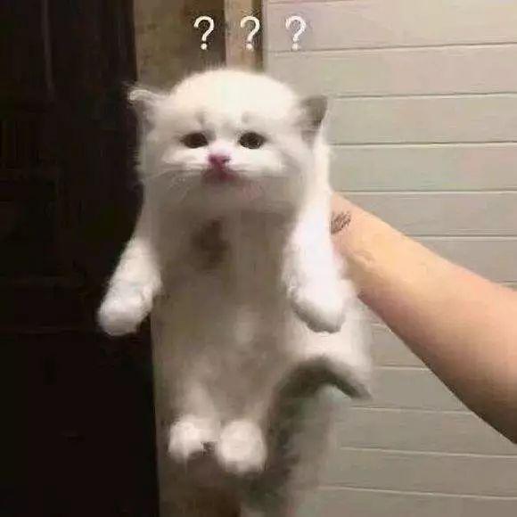 describe搭配_described_described是什么意思