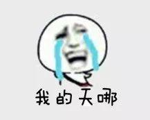 describe搭配_described是什么意思_described