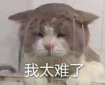 describedas_described_described是什么意思