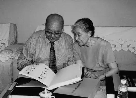 内兄_内兄_内兄