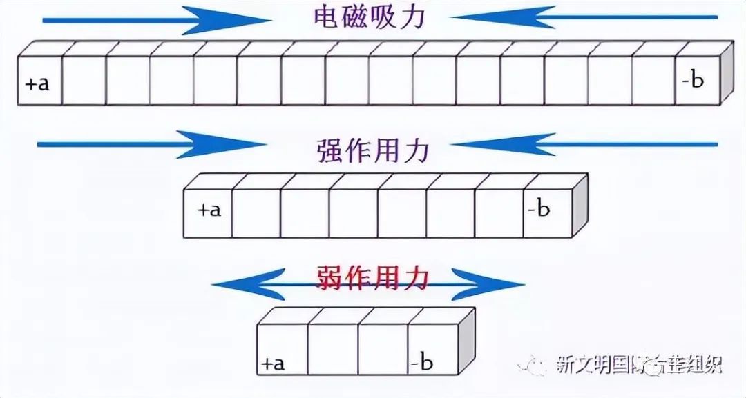 c宇称守恒_宇称守恒对应什么对称_宇称守恒