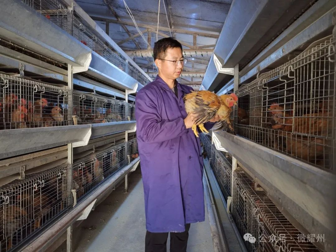 瑶_瑶玲啊瑶玲第二部_瑶玲啊瑶玲图片