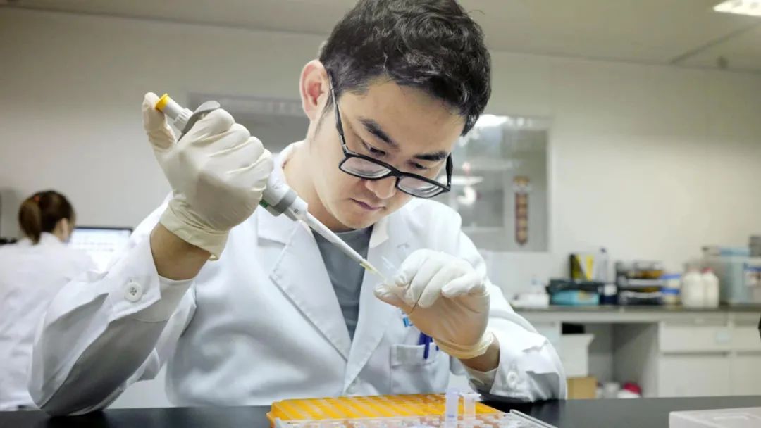 genomes_genomes翻译_genome什么意思