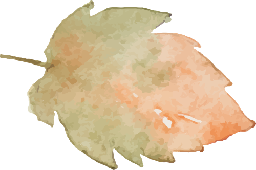 scrunchy_scrunchy什么意思_scrunchy俚语