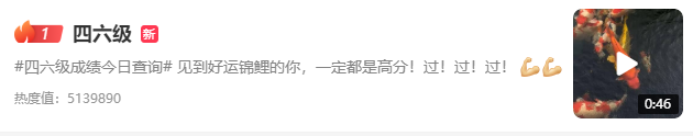 guesses英语什么意思_guesses怎么读_guesses
