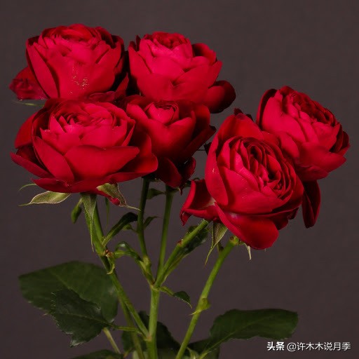 charme盒_周生生charme系列寓意_charme