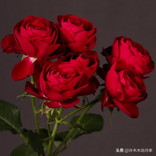 周生生charme系列寓意_charme盒_charme