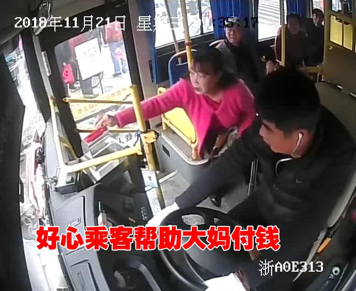 危临不乱猜一个最佳动物_临危不乱_危临下石是什么生肖