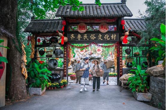 塔顶长大树在什么地方_九顶塔_塔顶上的猫