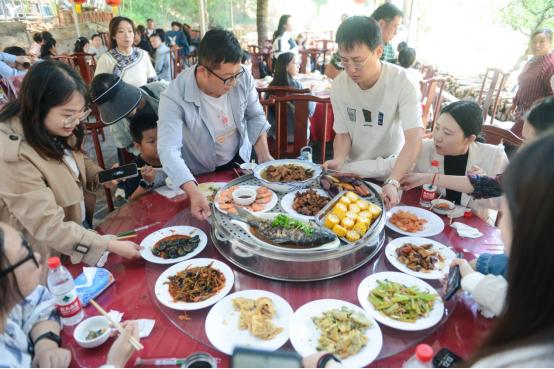 塔顶长大树在什么地方_塔顶上的猫_九顶塔