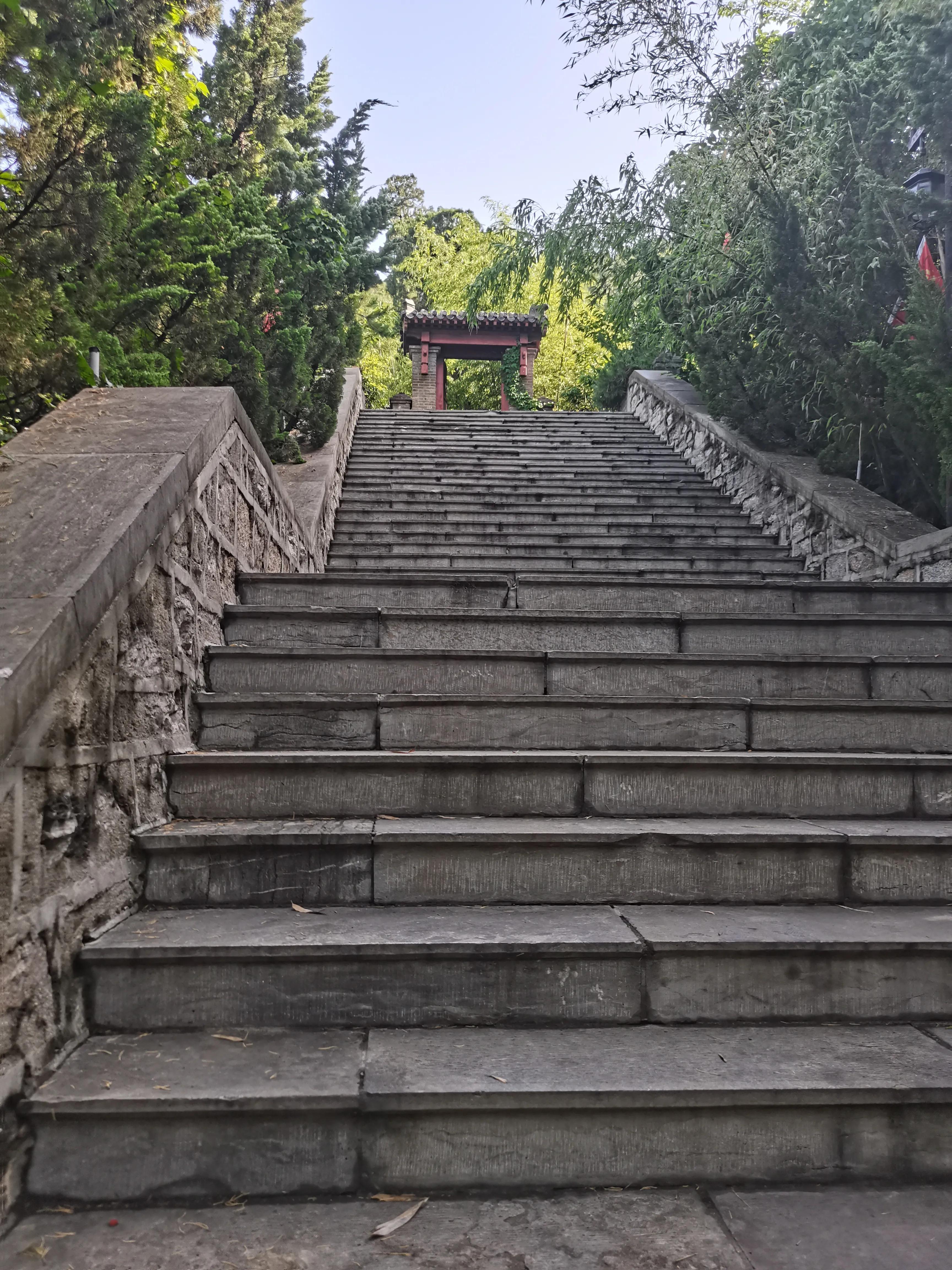 九顶塔_塔顶药物副作用_塔顶上的猫