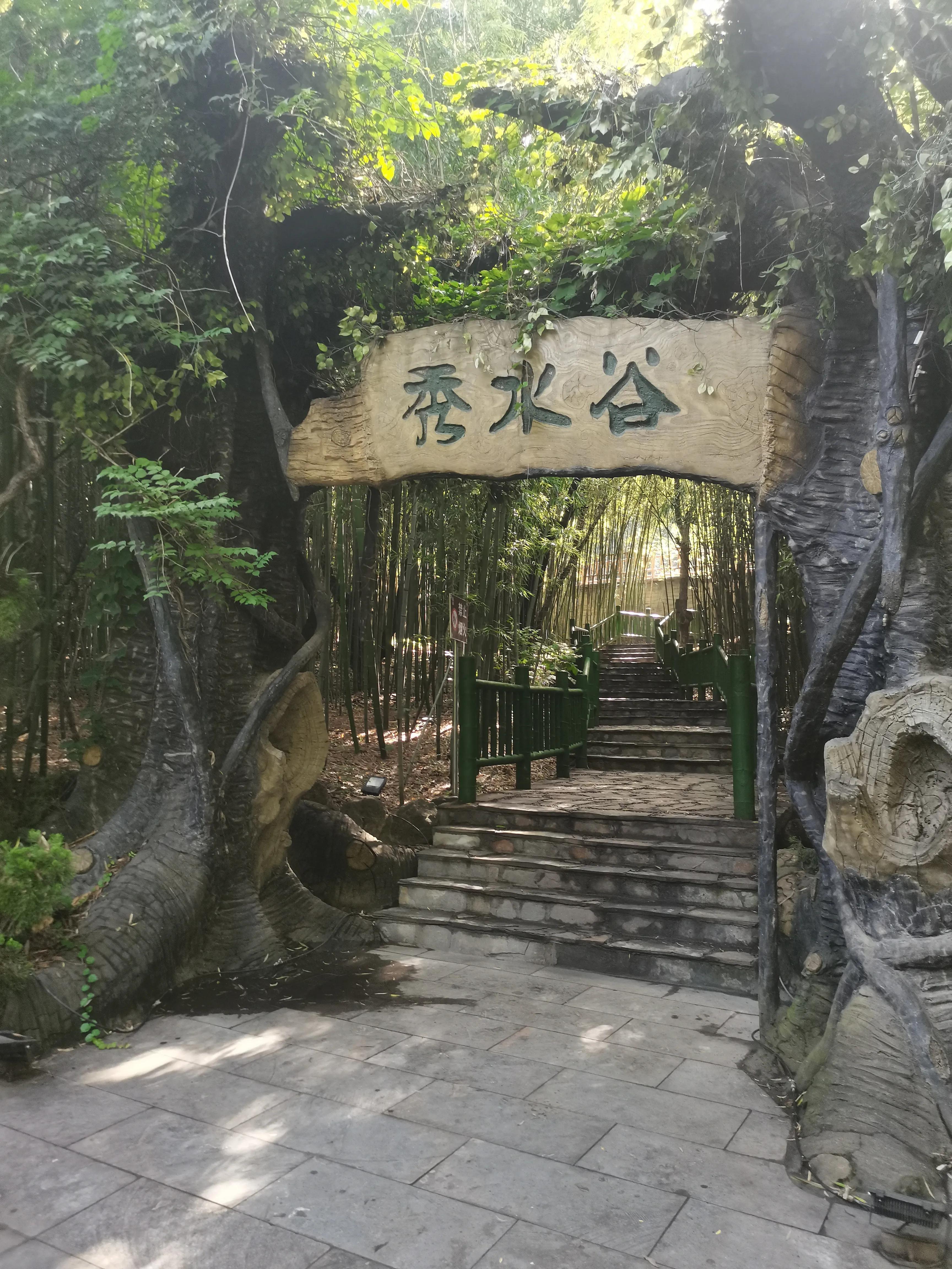 塔顶上的猫_九顶塔_塔顶药物副作用