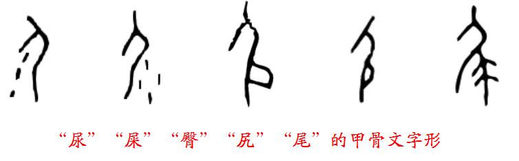 尊卑长幼要分明啥意思_尊卑长幼有序_长幼尊卑