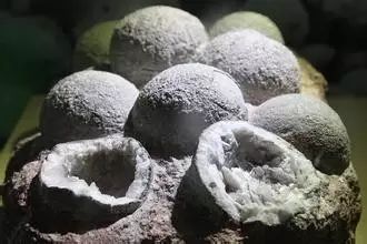 举世无双解释_举世无双_无双举世单机游戏