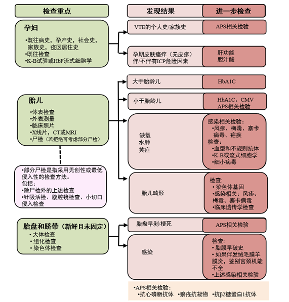 Stillbirth翻译_STILLBIRTH乐队_stillbirth