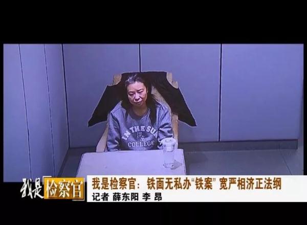 铁面无私_无私铁面拼音_无私铁面菊花