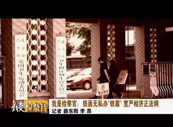 无私铁面拼音_无私铁面菊花_铁面无私