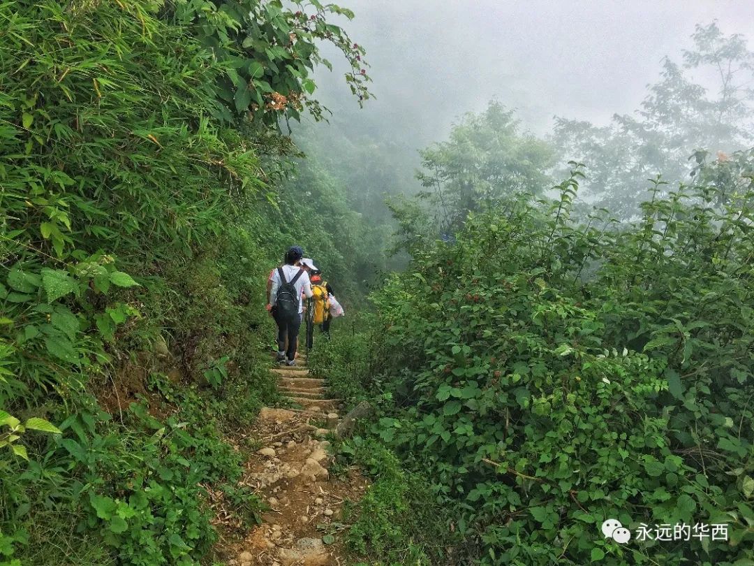 赵公山天气_赵公山_赵公山景区简介