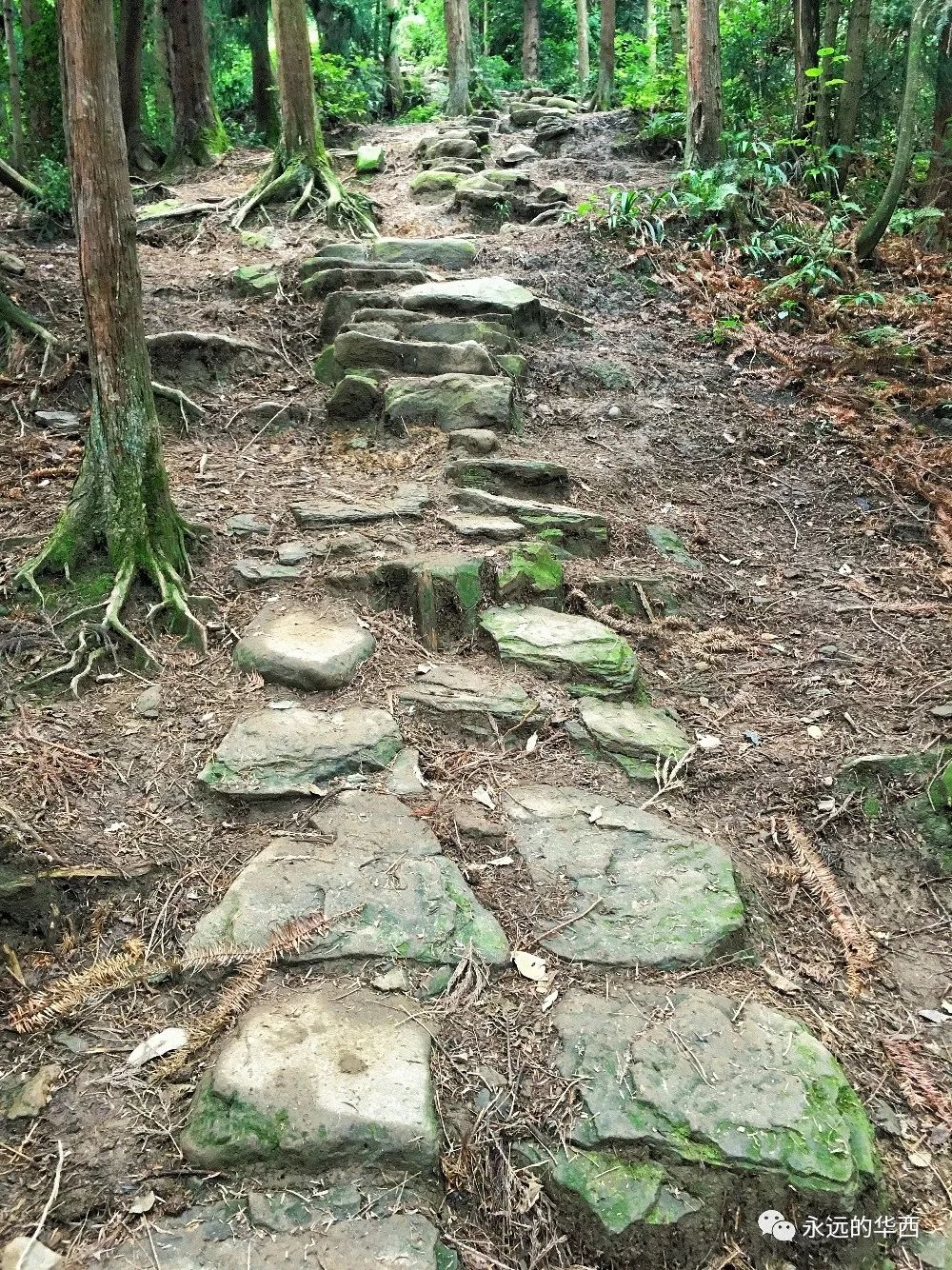 赵公山天气_赵公山_赵公山景区简介