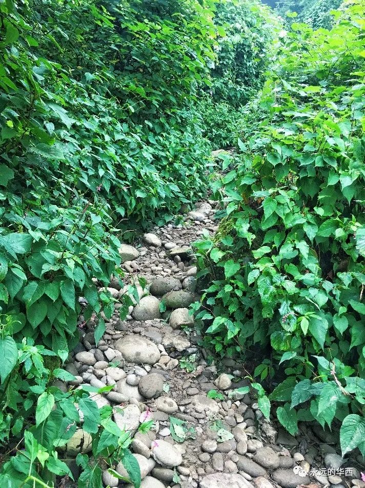 赵公山天气_赵公山景区简介_赵公山