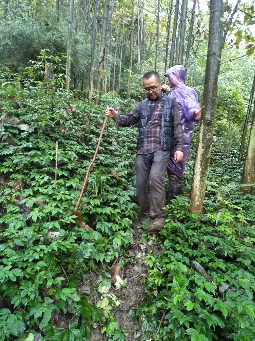 赵公山_赵公山在哪里_赵公山景区简介