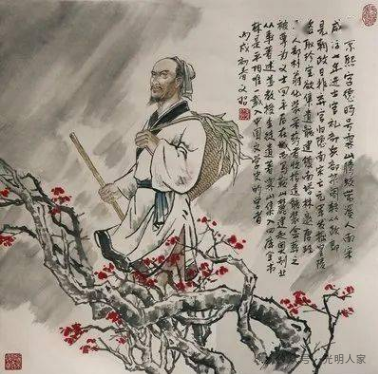 骸_云骸|白骸_白骸纲骸