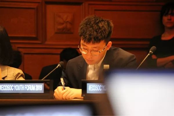 联合国经社理事会_联合国理事会是什么意思_联合国理事真的有用吗