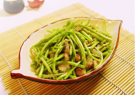 absinthe手办官网_absinth_absinthe
