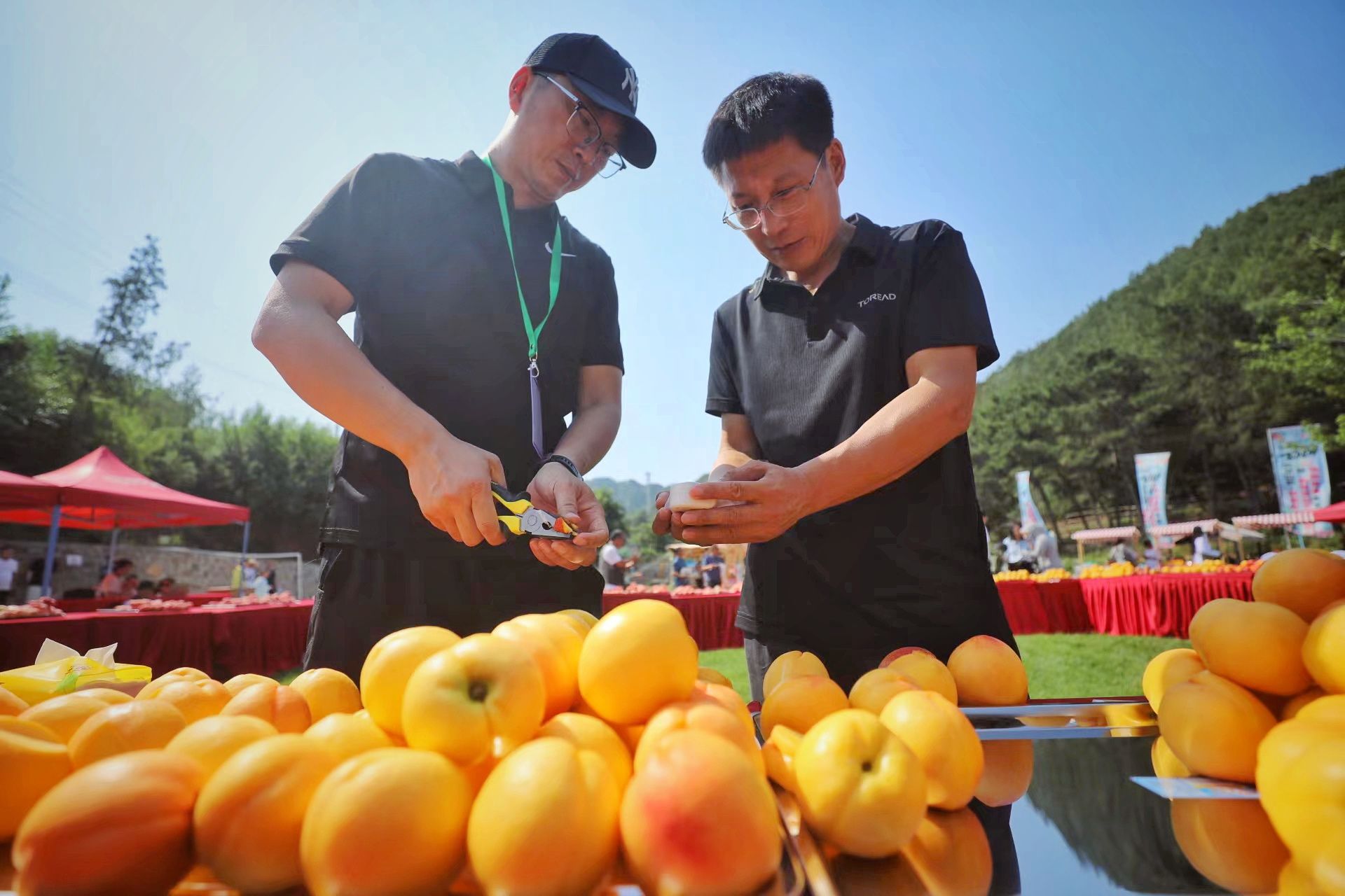 名优_优名教育骗局_n0642小泽优名