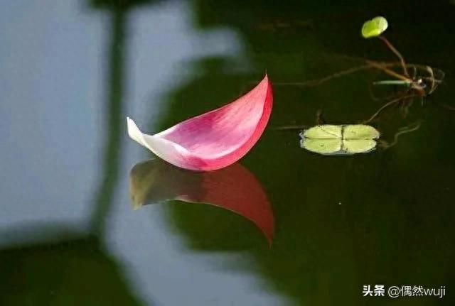恶人自有恶人磨下一句_恶人自有恶人磨_恶人自有恶人磨的出处
