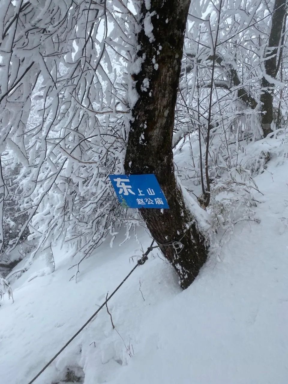 赵公山_赵公山天气_赵公山在哪里