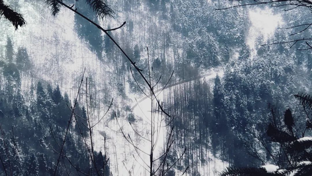 赵公山天气_赵公山在哪里_赵公山