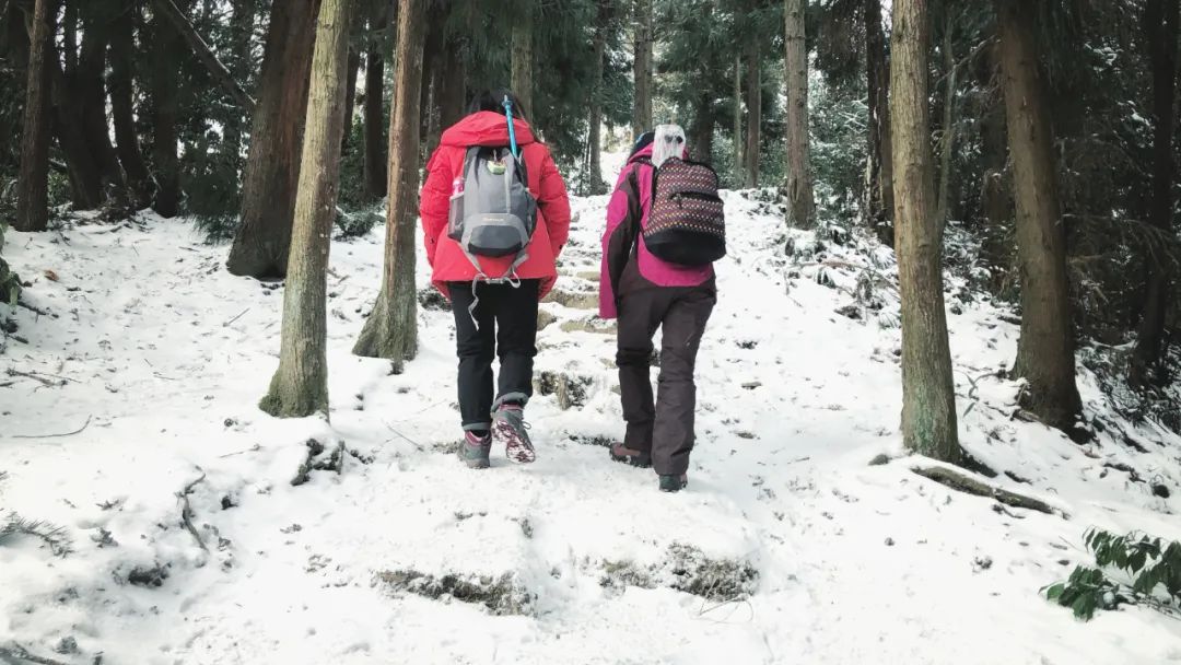 赵公山_赵公山在哪里_赵公山天气