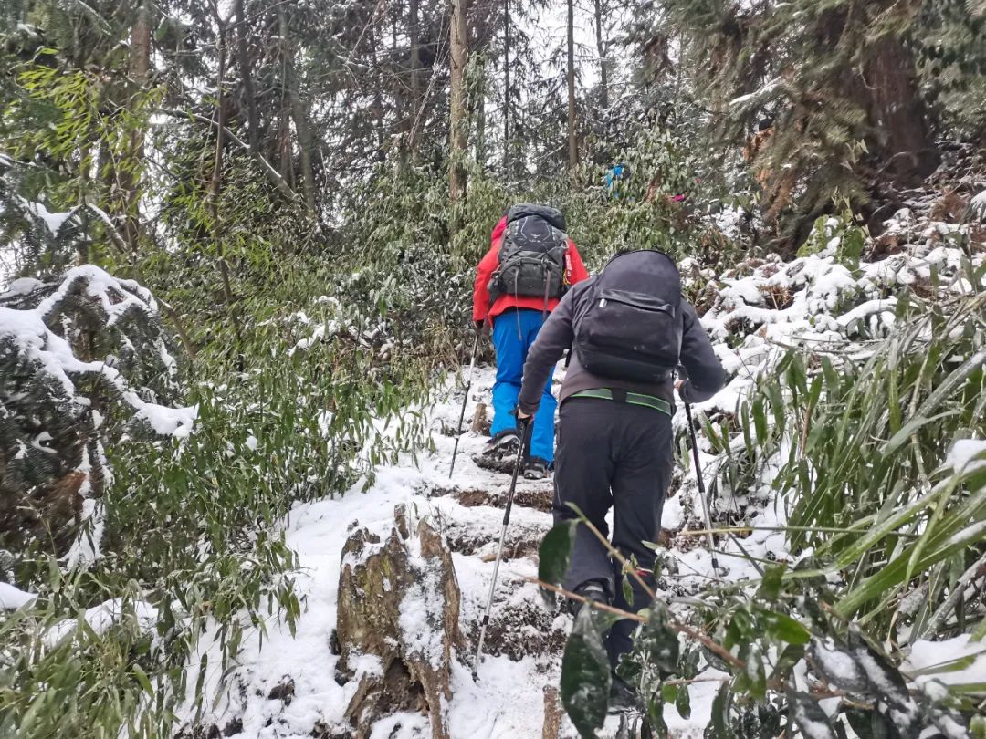 赵公山_赵公山在哪里_赵公山天气