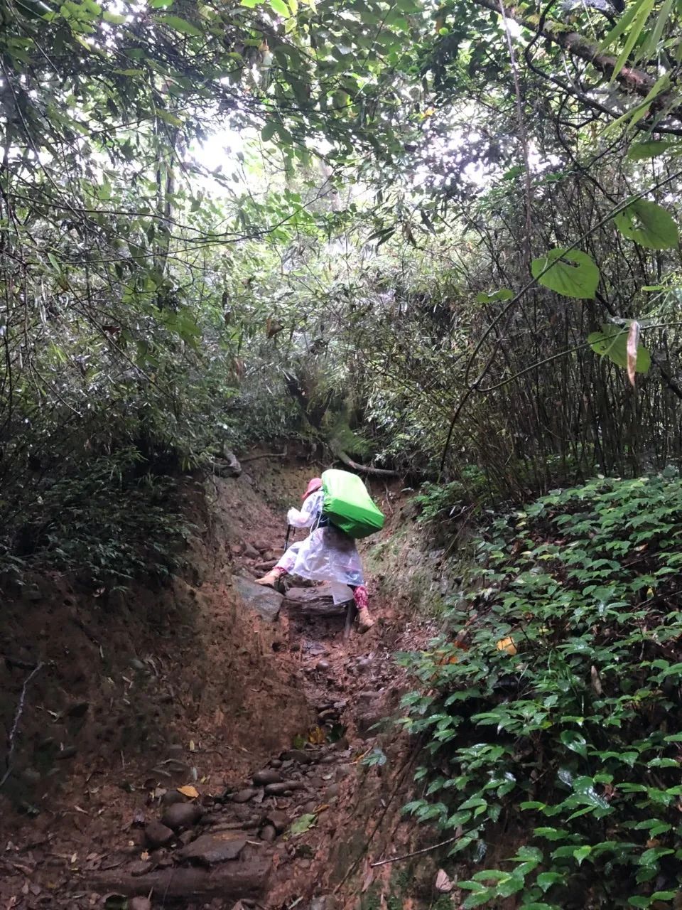 赵公山天气_赵公山_赵公山在哪里
