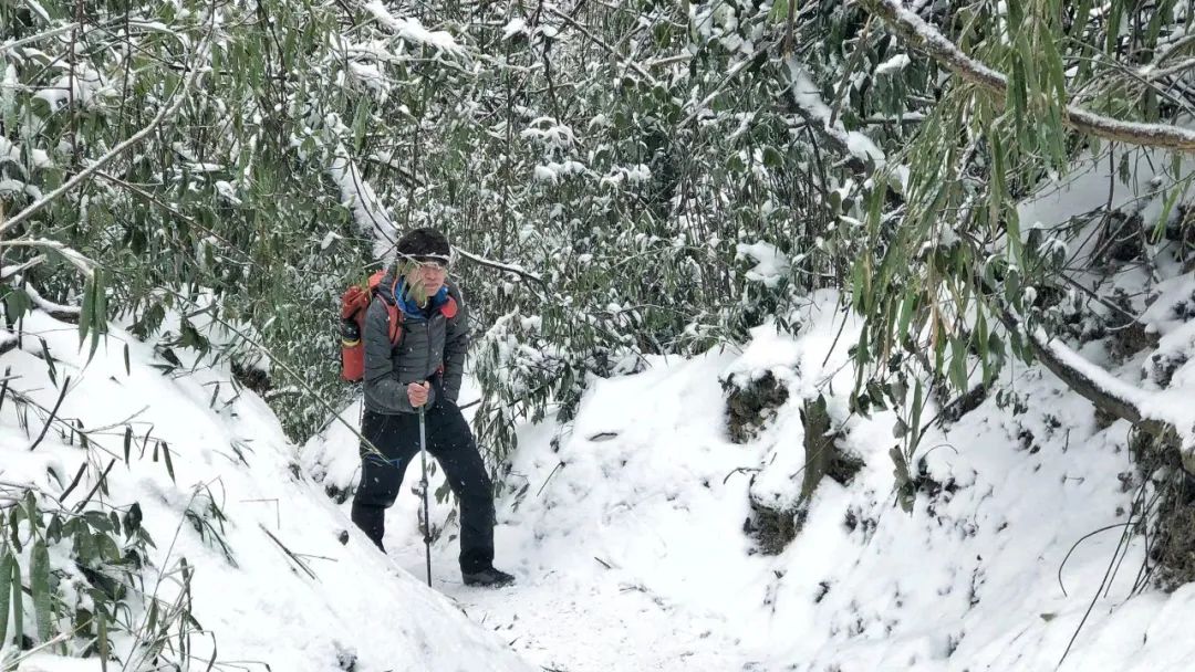 赵公山天气_赵公山_赵公山在哪里