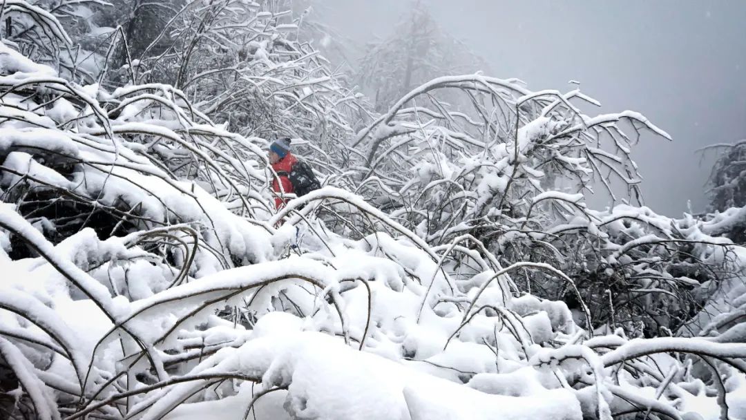 赵公山在哪里_赵公山_赵公山天气