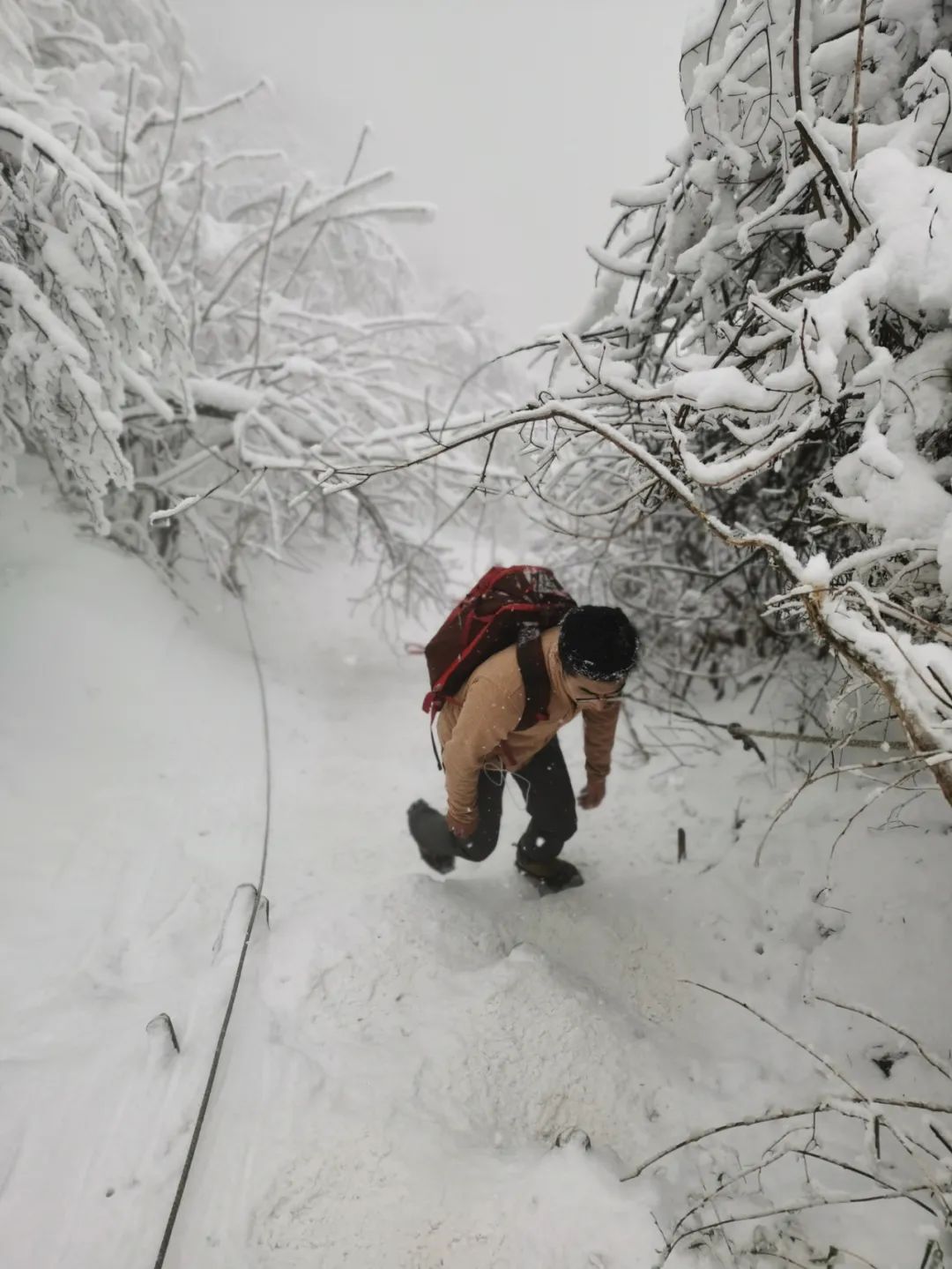 赵公山在哪里_赵公山天气_赵公山